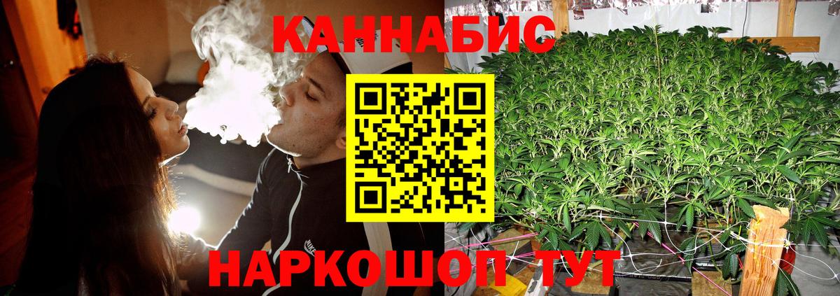 Бошки Шишки тримм  Канабис гибрид  Саратов  Вход с VPN  Бошки Шишки тримм 